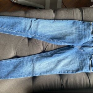 Hudson Jeans Blue Skinny Denim